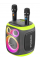 Портативна бездротова колонка Bluetooth Hopestar Party 130 з 2 Мікрофоном Караоке |120Вт, Bluetooth| Сірий