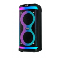 Колонка аккумуляторная Temeisheng Partybox 6620 c радиомикрофонами