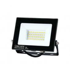 Прожектор світлодіодний PARDUS-30 30W 6400K