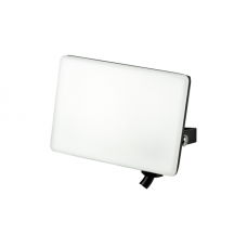 Прожектор світлодіодний PEGASUS-10 10W 6400K