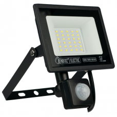 Прожектор світлодіодний з датчиком PARS/S-30 30W 6400K